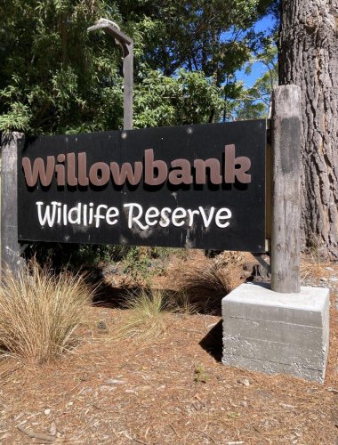 Willowbank Wildlife Reserve - Christchurch March 2024